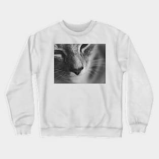 Sleepy cat Crewneck Sweatshirt